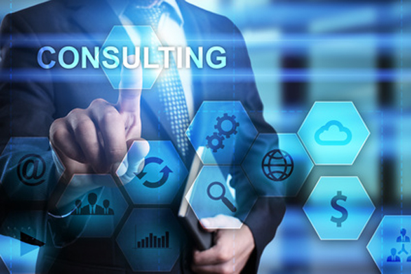 Professional Consultancy Services